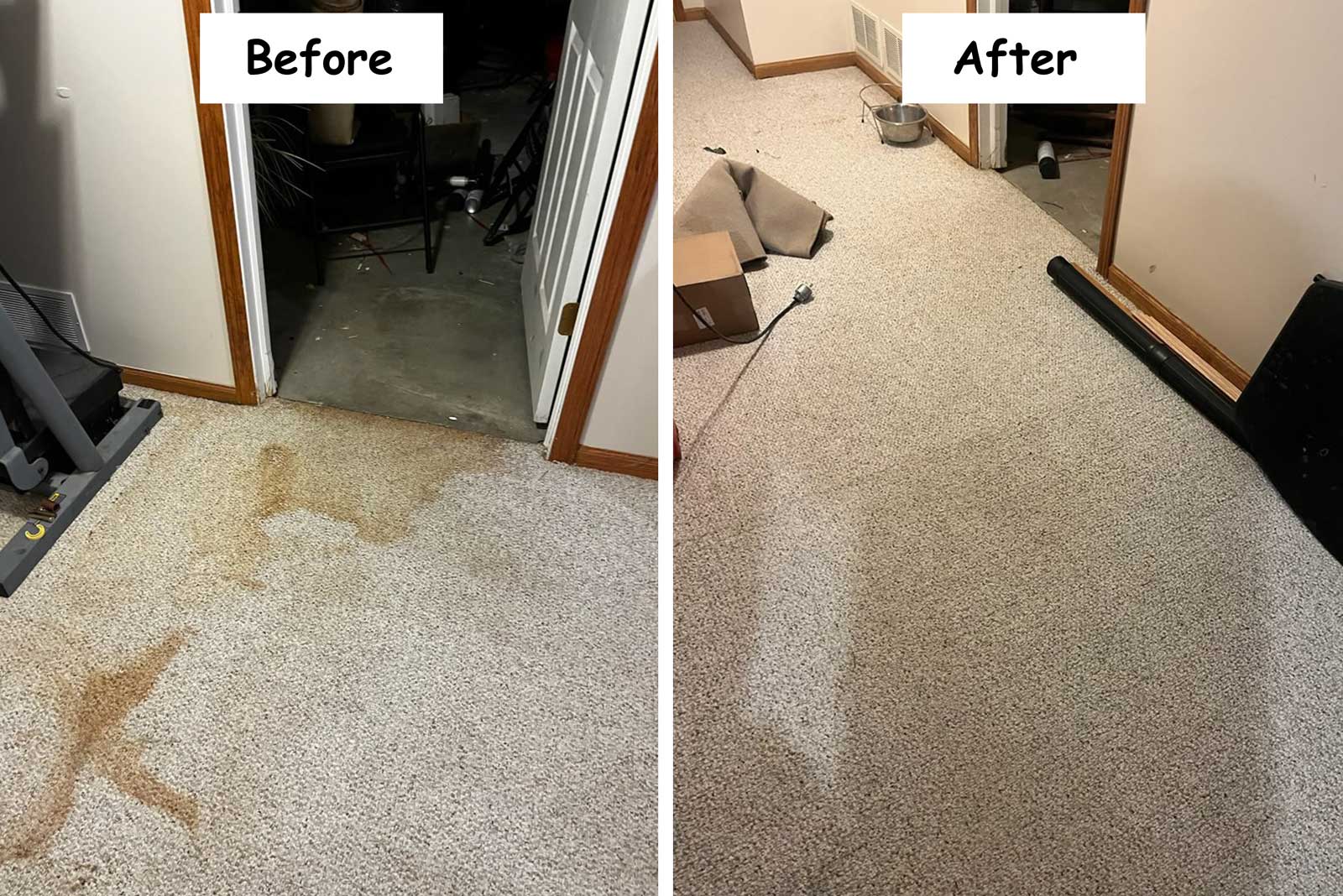 Carpet Before After